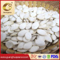 Export Standard Shine Skin Pumpkin Seeds